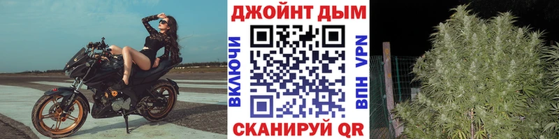 Хочу наркоту Питкяранта Псилоцибиновые грибы  LSD-25  Амфетамин  Кокаин  ГАШ  Каннабис  APVP 