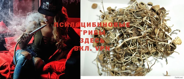 spice Алексин
