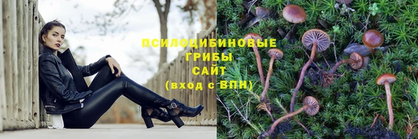 spice Алексин