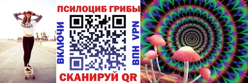 где купить наркоту  Питкяранта  Галлюциногенные грибы Psilocybe 